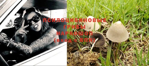 стаф Гусиноозёрск
