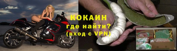 дживик Гусев