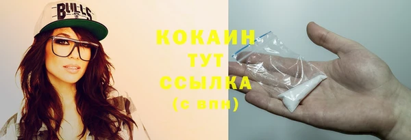 дживик Гусев