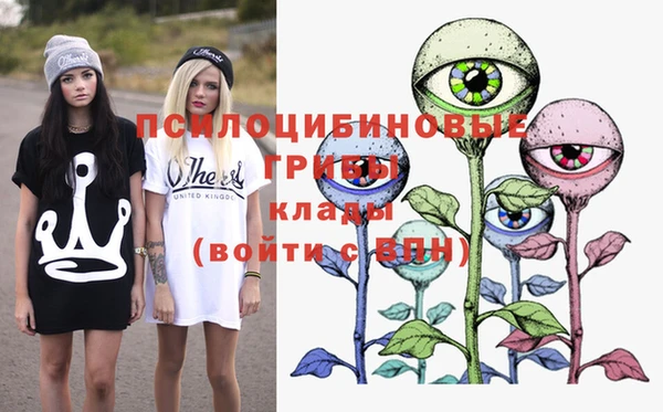 дживик Гусев