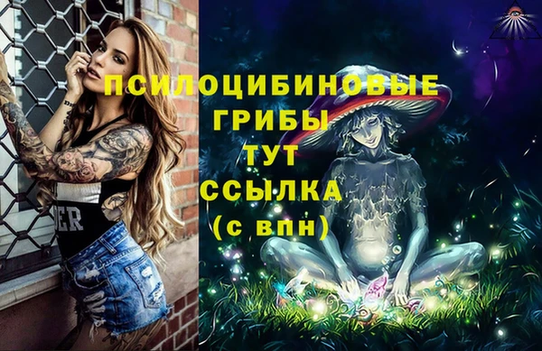 дживик Гусев