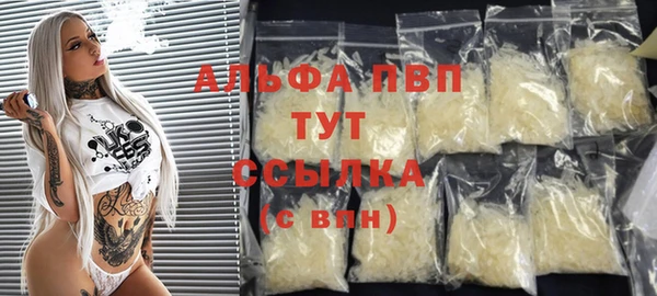 дживик Гусев