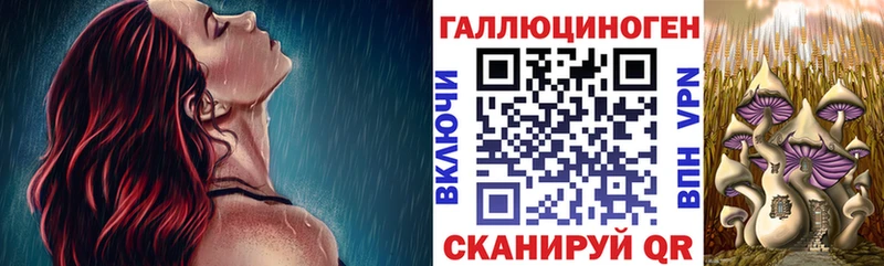 Купить закладки Александровск Галлюциногенные грибы GOLDEN TEACHER