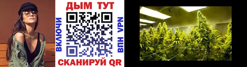 Бошки Шишки VHQ Купить закладки Александровск